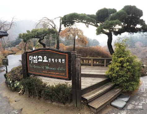 South Korea The Garden Of Morning Calm Violetology
