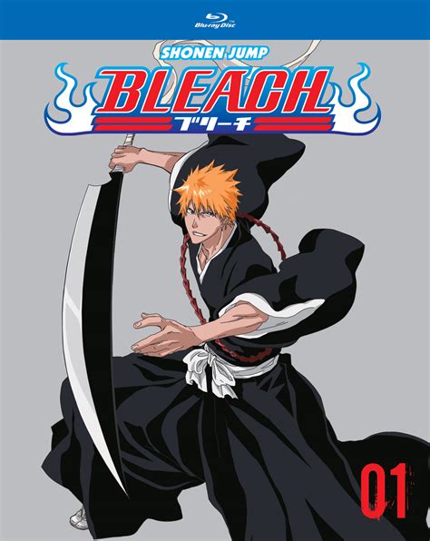 Viz See Bleach Set 1