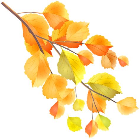 Autumn Branch Png Clip Art Image Art Images Leaf Images Clip Art