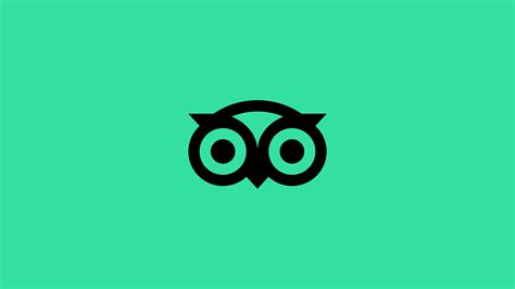 The Tripadvisor Owl Gets Refined In Rebrand By Mother Design Graphic