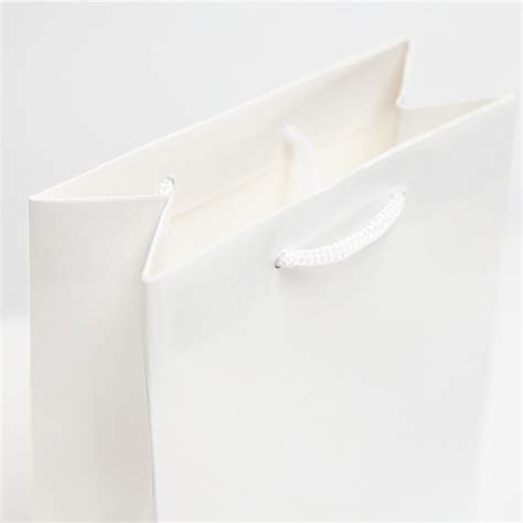 White Gloss Laminated Paper Bags Luxury Bags Carrier Bag Shop