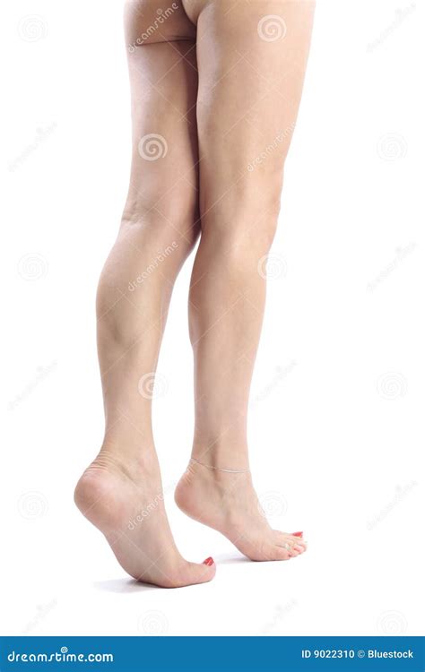 Beautiful Woman Legs And Feet Stock Photo Image