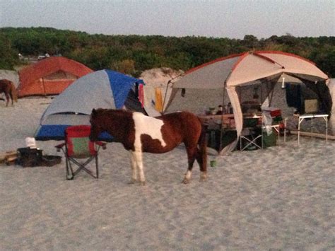 Beach Camping In Assateague Island National Seashore Almost Guarantees