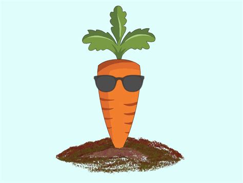 Cool Carrot By Haseeb Rashid On Dribbble