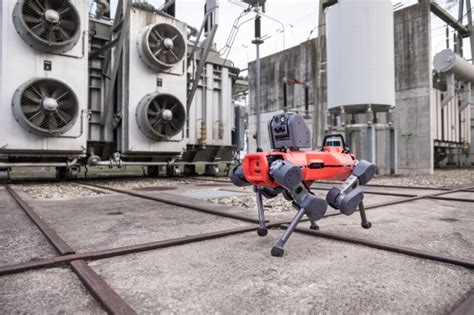 The Anymal Inspection Robot Gives Spot Some Four Legged Competition