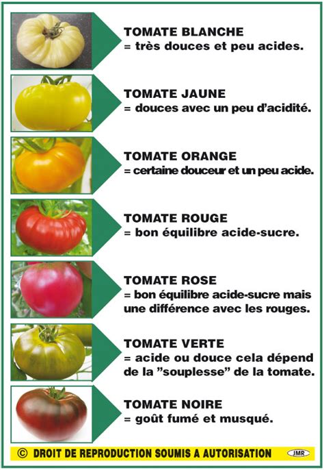 Infos Tomates Tomates Anciennes Ou Modernes Découvrez Plus De 300