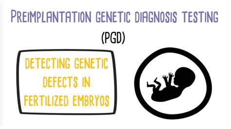 Basics Of Preimplantation Genetic Diagnosis Testing From Us Fertility Network Youtube