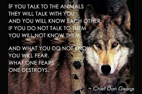 What Is Your Spirit Animal Animal Spirit Guides Chief Dan George