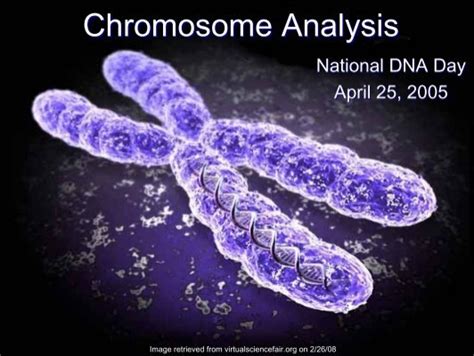 Chromosome Analysis National Human Genome Research Institute