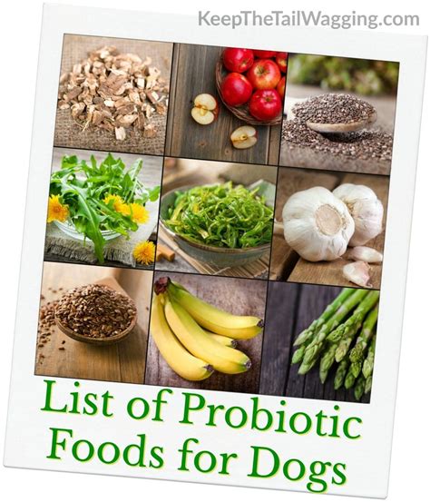 How to choose the right dog probiotic. List of Probiotic Foods for Dogs like asparagus, bananas ...