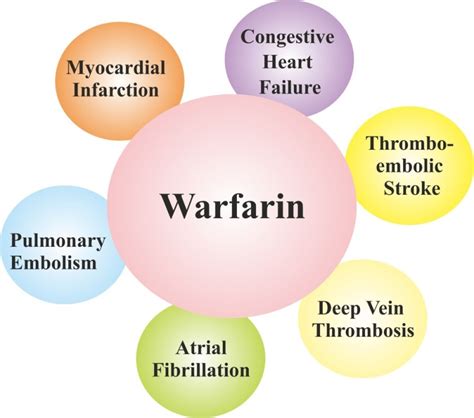 Maybe you would like to learn more about one of these? What Foods To Avoid On Warfarin - Food Ideas