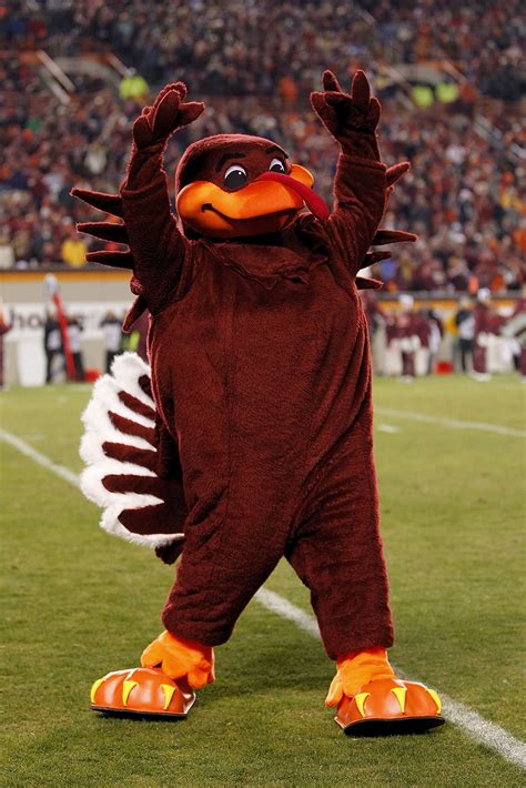 College Football 2011 The 50 Best Mascots In College Football
