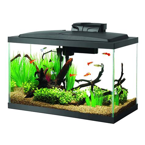Aqueon Aquarium Starter Kit 10 Gallon Glass Fish Tank Led Lighting