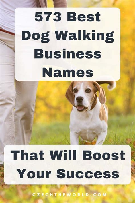 573 Best Dog Walking Business Names To Boost Your Success