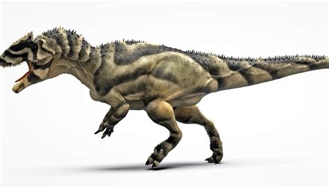 Top 10 Biggest Dinosaur Carnivores Owlcation