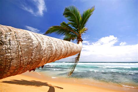 Beach Holidays In Sri Lanka Beach Chill Out Package By