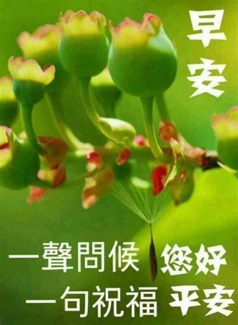 Chinese example words containing the character 晚 ( wan / wăn ): Pin by May Chua on Good Morning Wishes In Chinese | Good ...