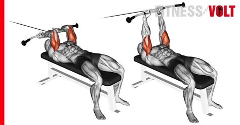 Cable Lying Triceps Extension Exercise How To Variations And Video Guide