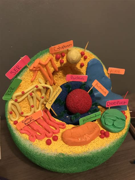 Plant Cell Project Cells Project Plant Cell Plant Cell Project