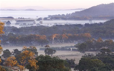 You Guide To Macedon Ranges With 6 Things You Must Do