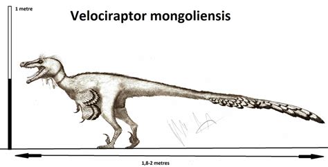 Velociraptor Mongoliensis Updated By Teratophoneus On Deviantart
