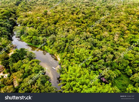 Aerial View Amazon Rainforest South America Stock Photo Edit Now