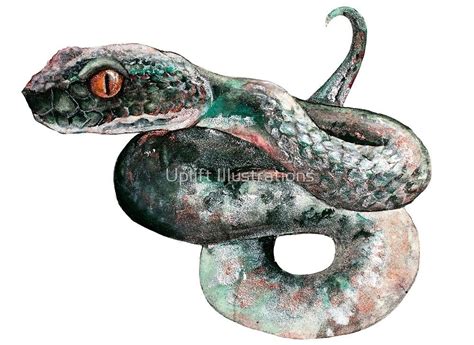 Snake Watercolor Illustration By Uplift Illustrations Redbubble
