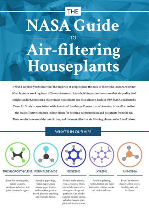 Air Purifier Plants NASA Chemical Infographic 2 Air Filtering Plants
