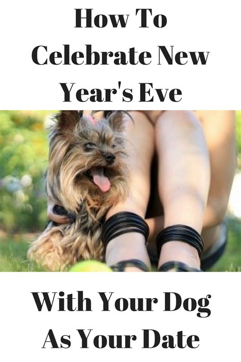 How To Celebrate New Years Eve With Your Dog As Your Date Dogs