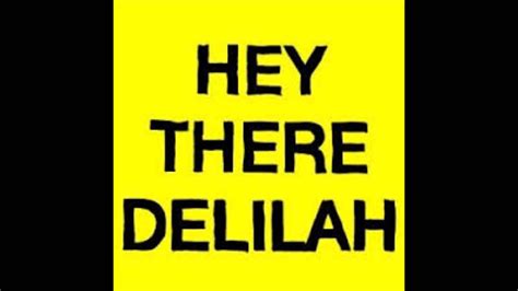 Hey there delilah 1 hour long - YouTube