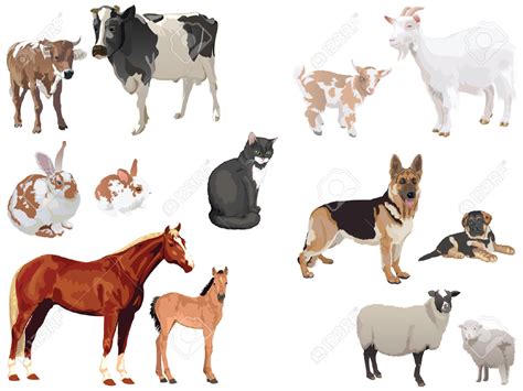 Domestic Animals Clipart Images Domestic Animals Clipart Bodaypwasuya