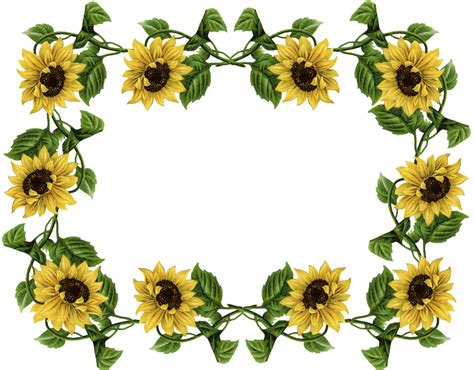 Sunflower Border Png Isolated File Png Mart