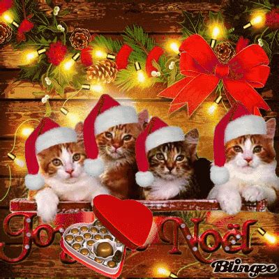 See more ideas about christmas gif, animated christmas, christmas. Merry Christmas ¤ Picture #135533291 | Blingee.com