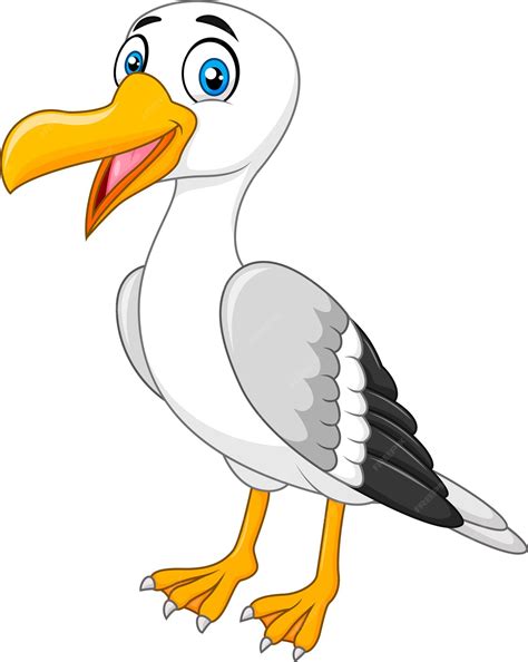 Premium Vector Cartoon Funny Seagull Posing Isolated On White Background