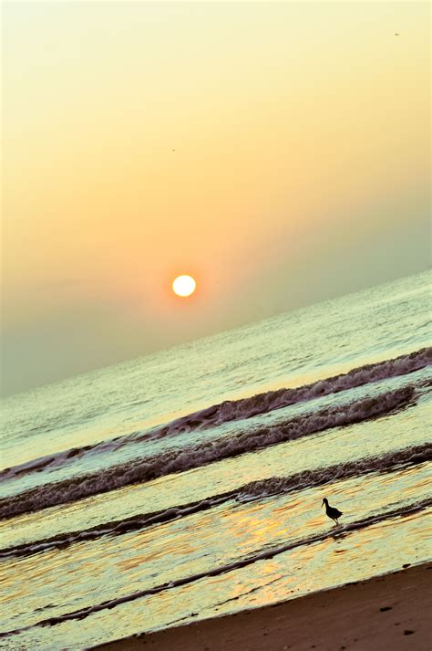 Sunrise on the beach. #beach #sunrise | Sunrise, Sunrise ...
