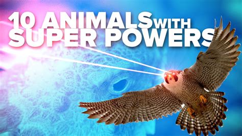 10 Animals With Real Super Powers Youtube