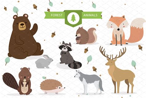 Cute Forest Animals Vector Animal Illustrations ~ Creative Market