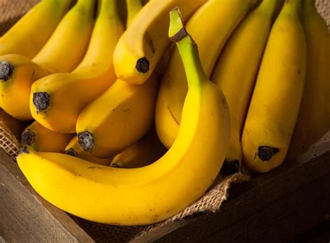 Bananas Could Face Extinction Due To Spread Of Deadly Fungus The