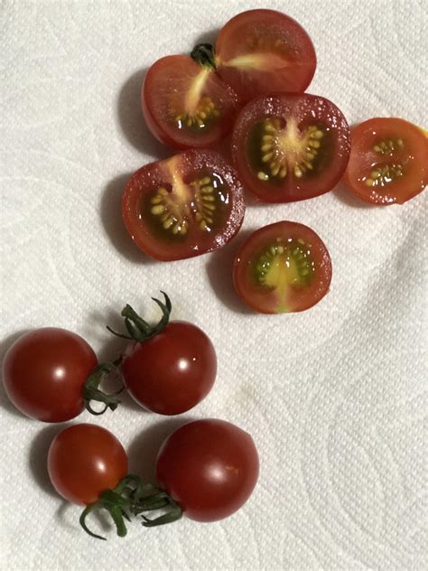 Help Why Are My Cherry Tomatoes Green On The Inside Rgardening