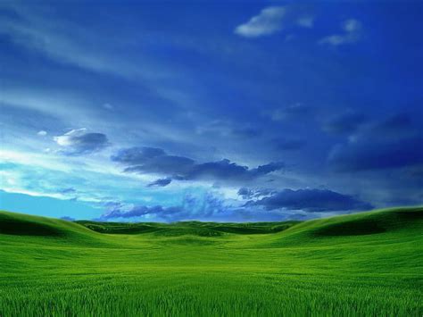 1440x900px Free Download Hd Wallpaper Green Grass Field Window