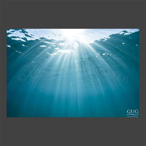 Limited Editions Gug Underwater