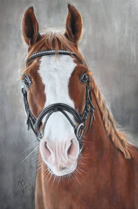 Pferdezeichnung Pferdeportrait In Pastell Horse Painting Horse