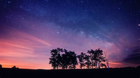 Purple Night Sky Stars Trees Silhouettes High Definition Wallpapers