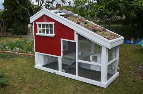 Backyard chicken coop for a happy flock. 24 Amazing Low-Budget DIY Backyard Chicken Coop Plans ...