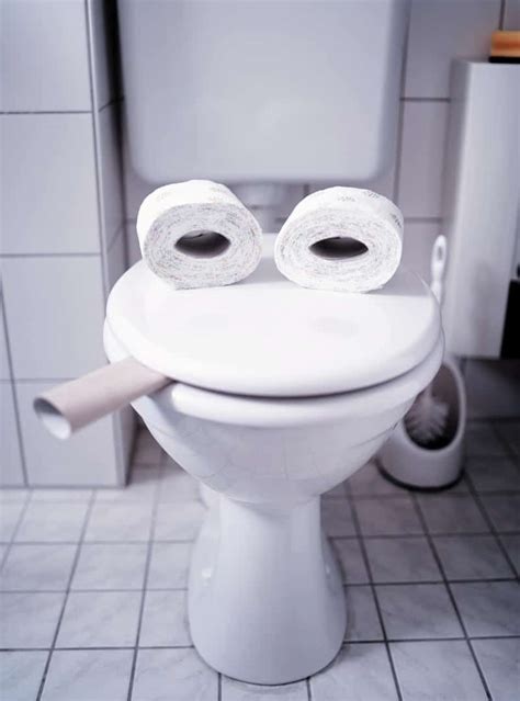 Funniest Not Harmful Toilet Pranks Rate My Toilet