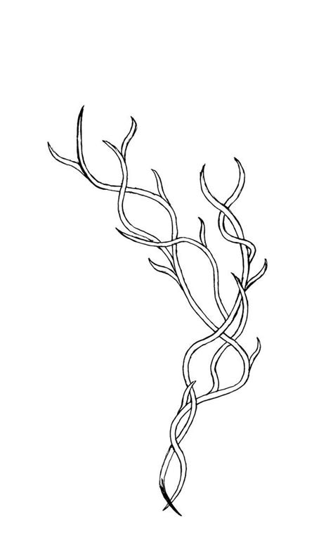 Varient Of The Vine Design By 3pieces Of Chaos Vine Drawing Flower