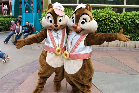 Dlp June 2011 Meeting Discoveryland Chip And Dale Flickr