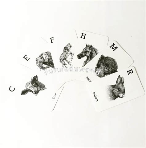 Let's make the animals starve no more! Animal 4D cards and Animal 4D Food Cards Combo, Augmented ...