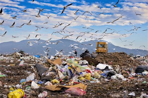 10 Items To Keep Out Of Landfill Ks Environmental