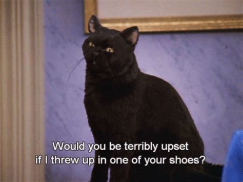 After A Really Really Drunken Night Sabrina The Teenage Witch Salem